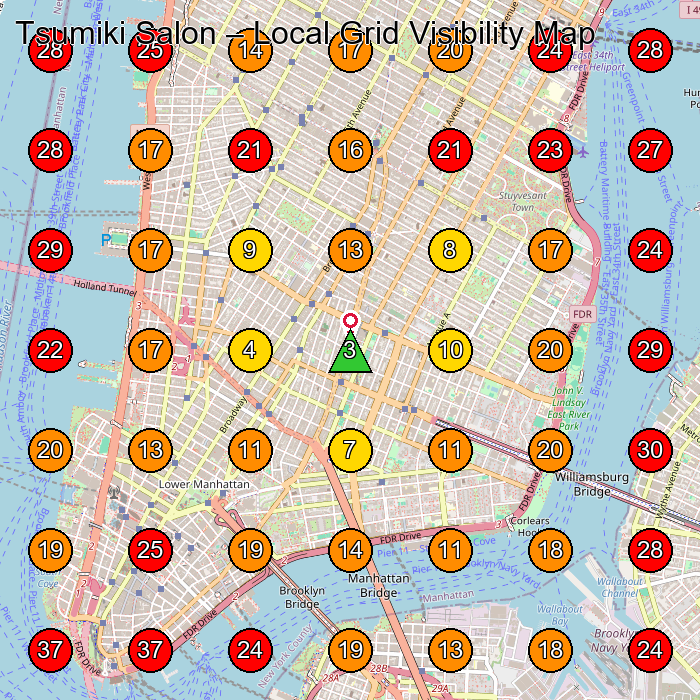 Tsumiki Salon GeoGrid visibility map for Hair Salon in New York